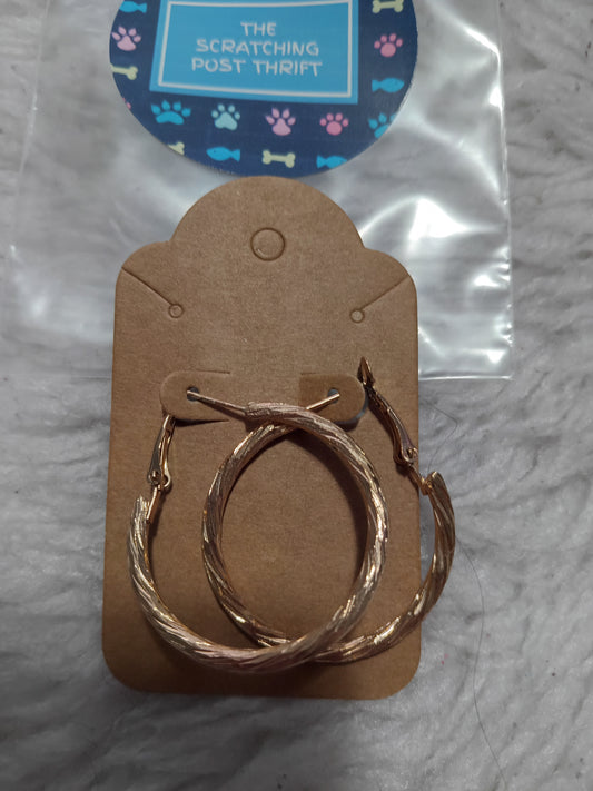 Hoop Earrings